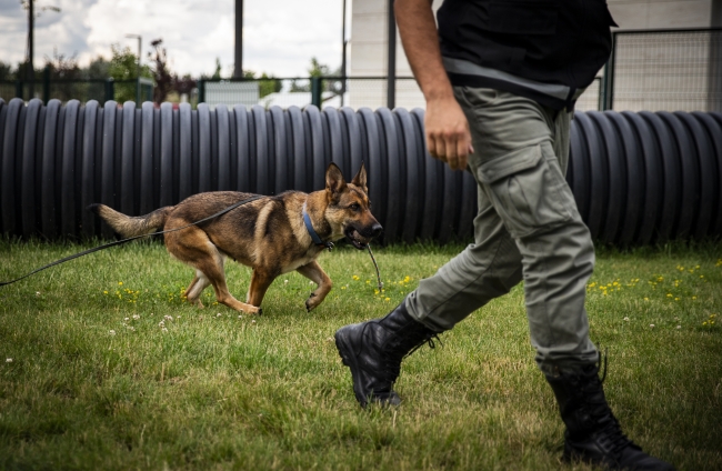"Süper burunlar" kaçakçılara geçit vermedi