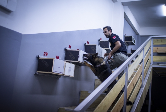 "Süper burunlar" kaçakçılara geçit vermedi