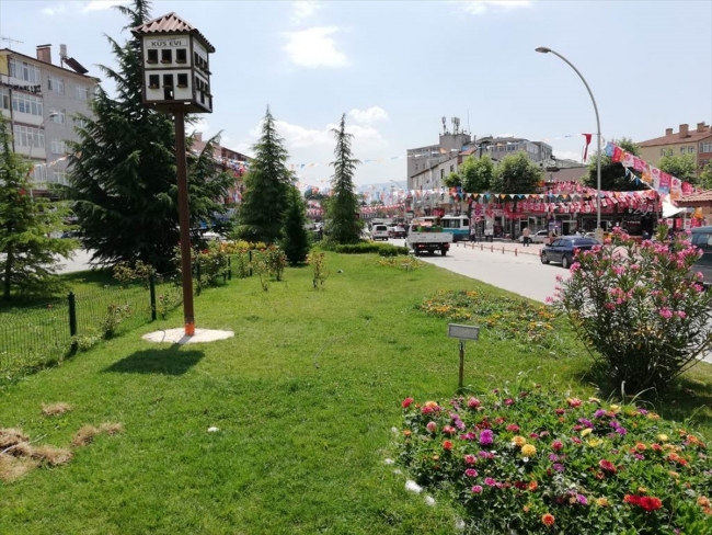 Tarihi kentte kuşlara ev