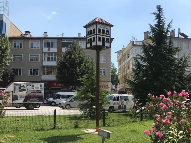 Tarihi kentte kuşlara ev
