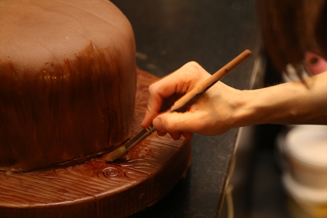 Anestezi teknikerliğinden pastacılığa