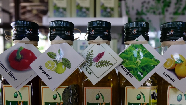 Burhaniye'nin aromalı zeytinyağları dünyaya ihraç ediliyor
