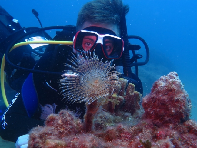 Kuşadası'nda bulunan uçak batığı turistlerin de ilgisini çekiyor