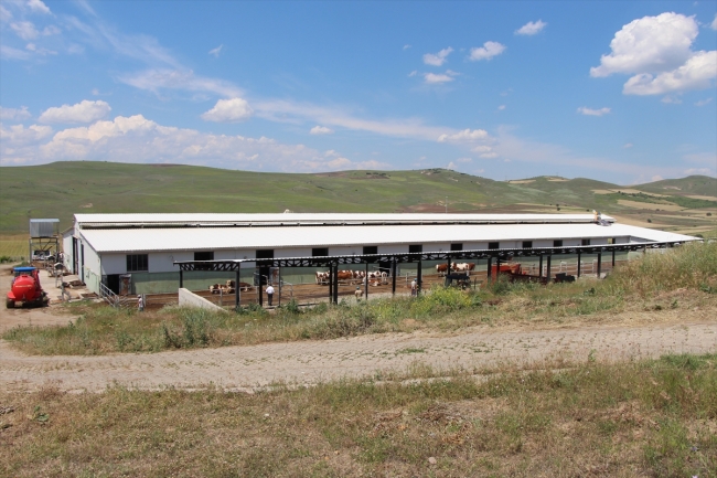 Diş hekimi devletten aldığı destekle köyüne umut oldu