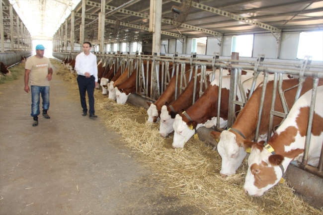 Diş hekimi devletten aldığı destekle köyüne umut oldu