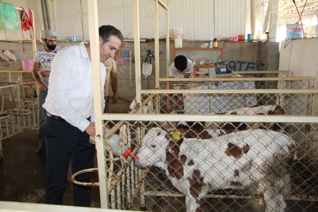 Diş hekimi devletten aldığı destekle köyüne umut oldu