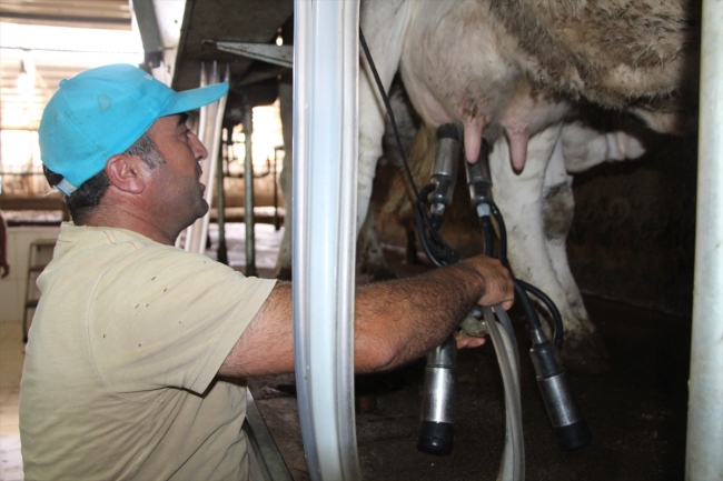 Diş hekimi devletten aldığı destekle köyüne umut oldu