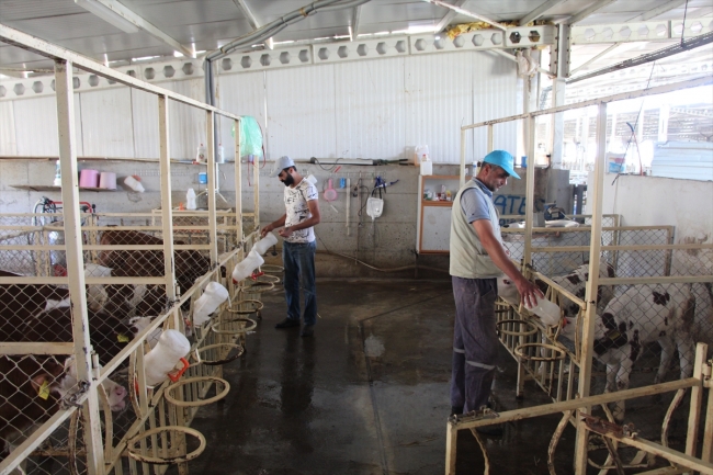 Diş hekimi devletten aldığı destekle köyüne umut oldu