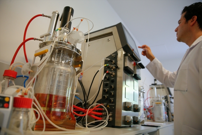 Milli ilaç teknolojisinde ilk adım: "Lale" isimli mikroorganizma geliştirildi