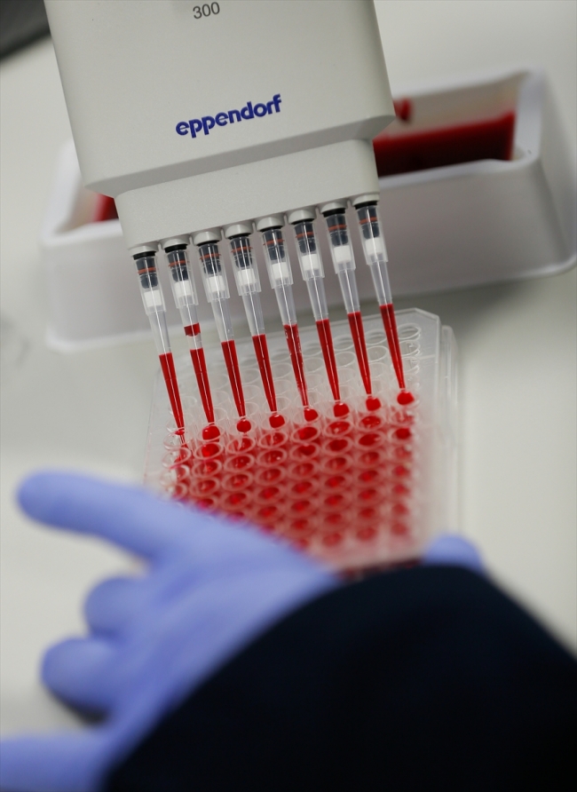 Milli ilaç teknolojisinde ilk adım: "Lale" isimli mikroorganizma geliştirildi