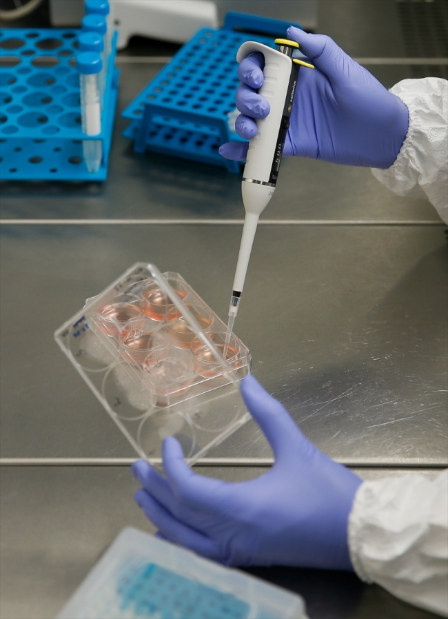 Milli ilaç teknolojisinde ilk adım: "Lale" isimli mikroorganizma geliştirildi