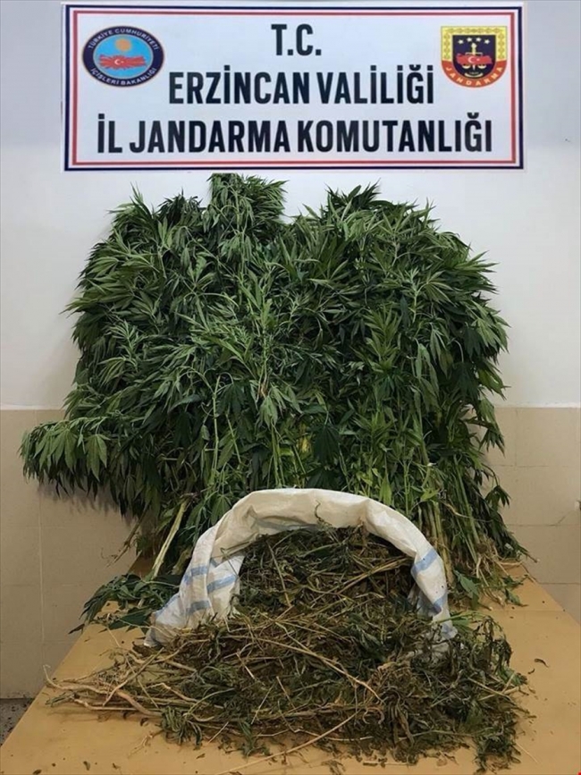 Erzincan'da uyuşturucu operasyonu