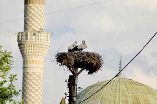 Leylek Festivali renkli görüntülere sahne oldu