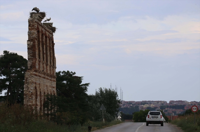 Tarihi hastane duvarı leyleklere yuva oldu