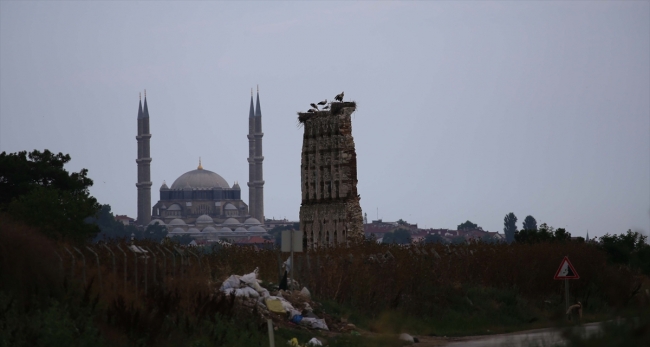 Tarihi hastane duvarı leyleklere yuva oldu