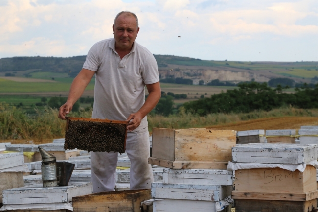 Gezgin arıcılar için Edirne vazgeçilmez durak