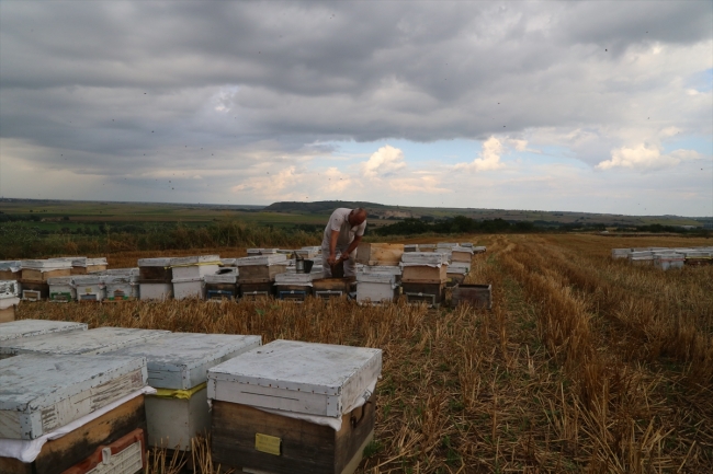 Gezgin arıcılar için Edirne vazgeçilmez durak