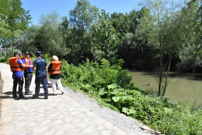 Irmağa giren yunus kurtarıldı
