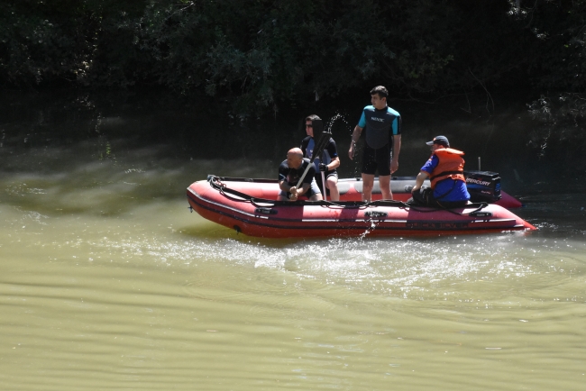 Irmağa giren yunus kurtarıldı
