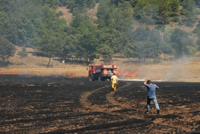 Çanakkale'de tarla yangını
