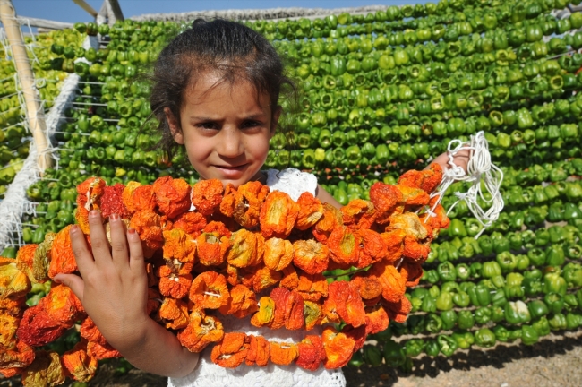 Gaziantep kurutmalık sebzelerle renklendi