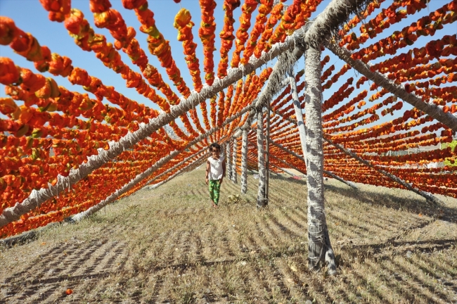 Gaziantep kurutmalık sebzelerle renklendi