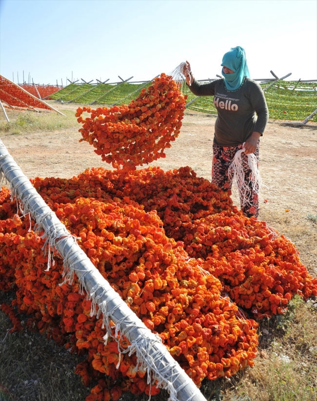 Gaziantep kurutmalık sebzelerle renklendi