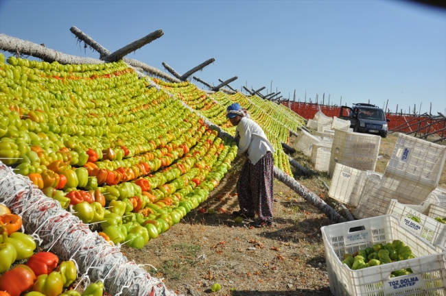 Gaziantep kurutmalık sebzelerle renklendi