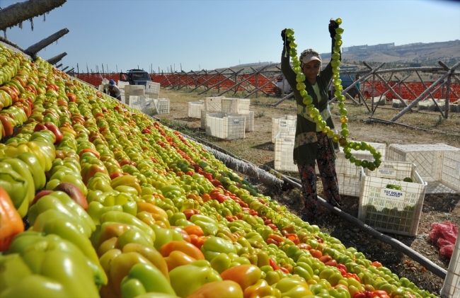 Gaziantep kurutmalık sebzelerle renklendi