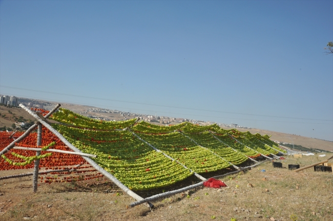 Gaziantep kurutmalık sebzelerle renklendi