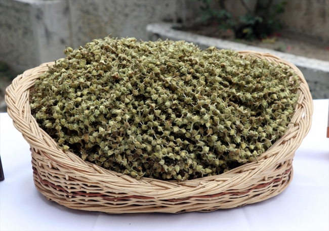 Amasya beji mermeri ve çiçek bamyası tescillendi