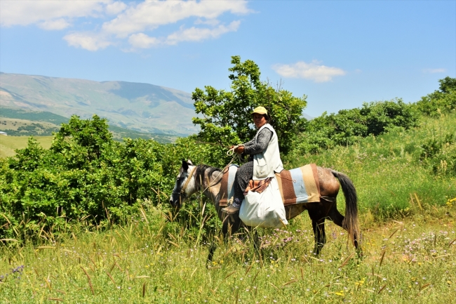 Berivanların at sırtında zorlu yolculuğu