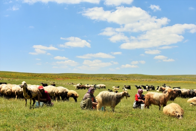 Berivanların at sırtında zorlu yolculuğu