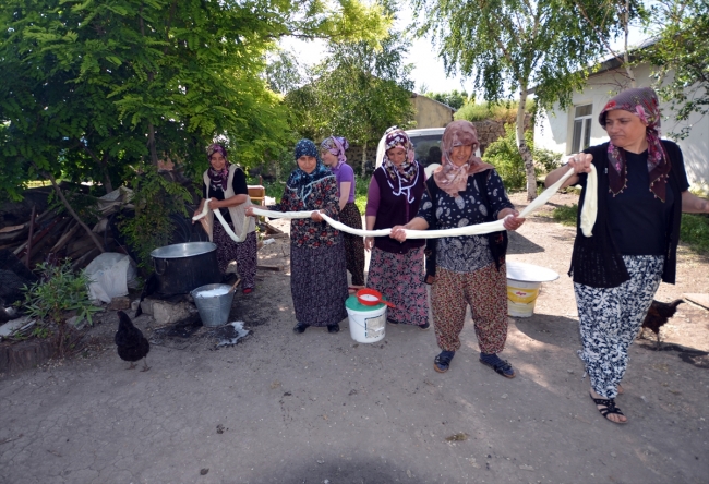 Kars'ta köylü kadınlar "çeçil peyniri" üretimine başladı