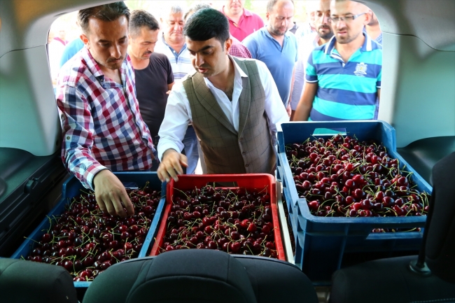 Konya'dan Çin ve Rusya'ya kiraz ihracatı