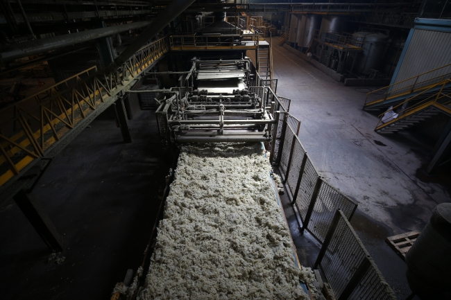 Taşı yüne çeviriyorlar