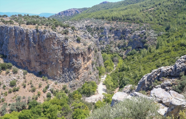 8 bin yıllık İncirliin'e yoğun ilgi