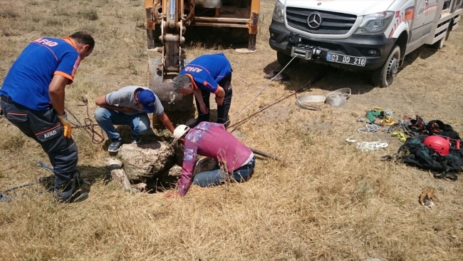 Kuyuya düşen danayı AFAD ekipleri kurtardı