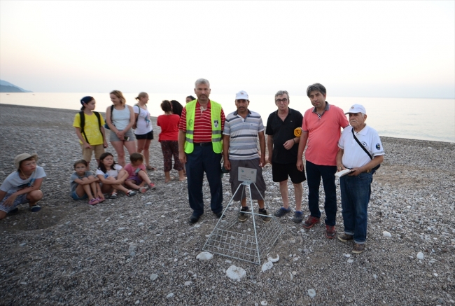 Caretta carettalar için yaşam nöbeti tutan muhtar
