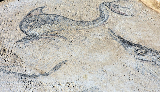 Muğla'da inşaat kazısından antik döneme ait balıkçı evi çıktı