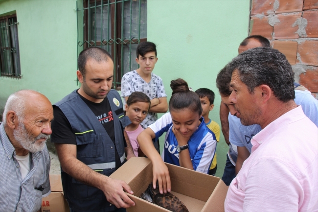 Ormanda bulunan yaralı kartal tedavi edildi