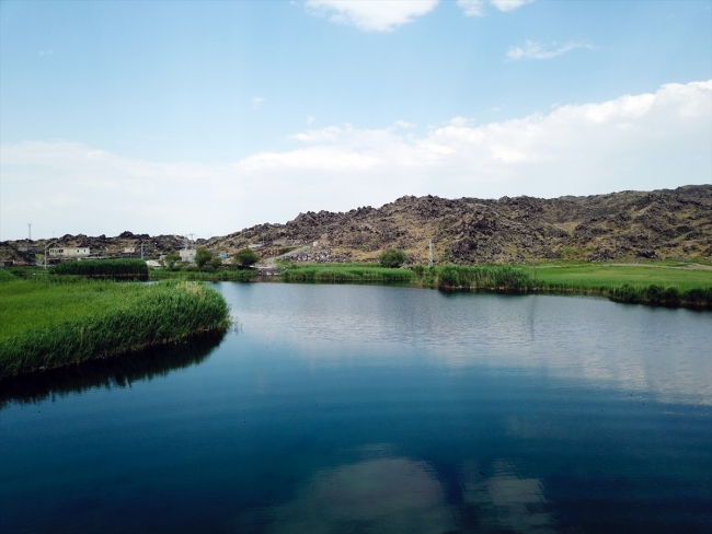 Zengin florasıyla Ağrı'nın su altı güzellikleri