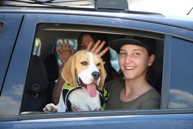 Kapıkule'de gurbetçi yoğunluğu