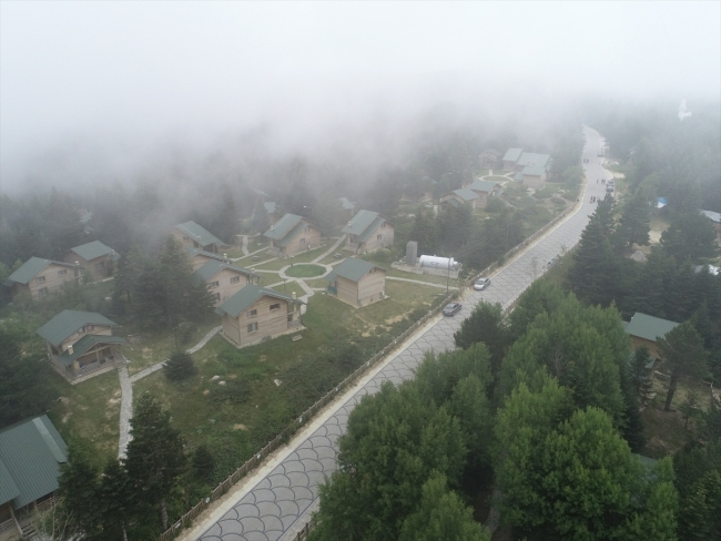 Etrafı çam ağaçlarıyla örtülü Uludağ'ın orman köşkleri