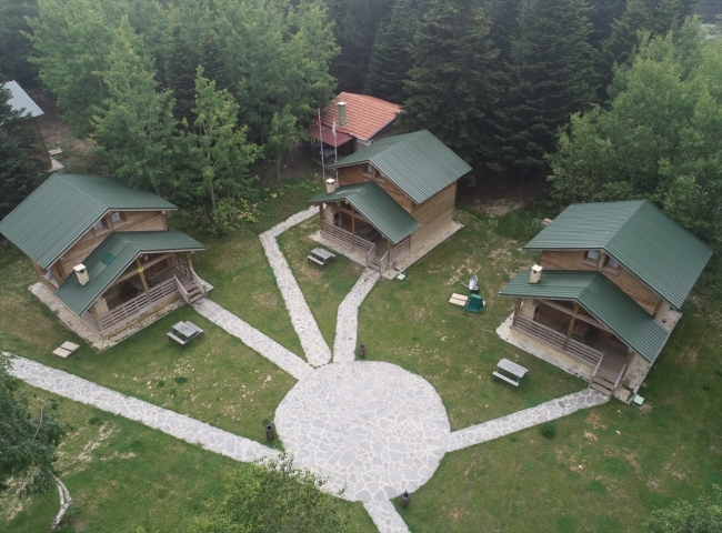 Etrafı çam ağaçlarıyla örtülü Uludağ'ın orman köşkleri