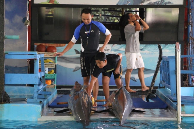 Endonezya’da otistik çocuklara yunuslarla terapi yapılıyor
