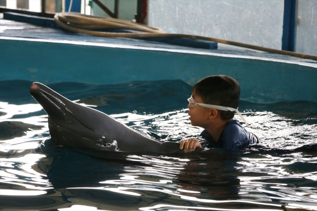 Endonezya’da otistik çocuklara yunuslarla terapi yapılıyor