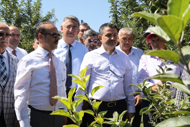 Köylülerin meyve bahçesi projesi Bakan Pakdemirli'den övgü aldı