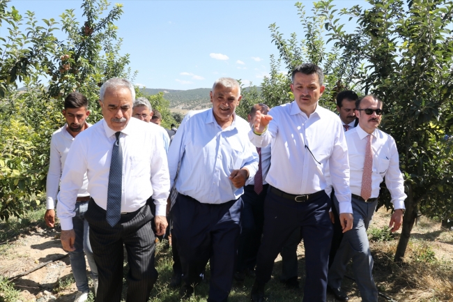 Köylülerin meyve bahçesi projesi Bakan Pakdemirli'den övgü aldı