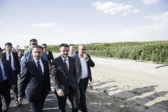 Tarım ve Orman Bakanı Bekir Pakdemirli: Tarımı daha iyi yerlere götüreceğiz